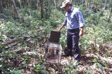 Tiếp nhận mẫu vật để làm tiêu bản và thả động vật hoang dã về môi trường tự nhiên